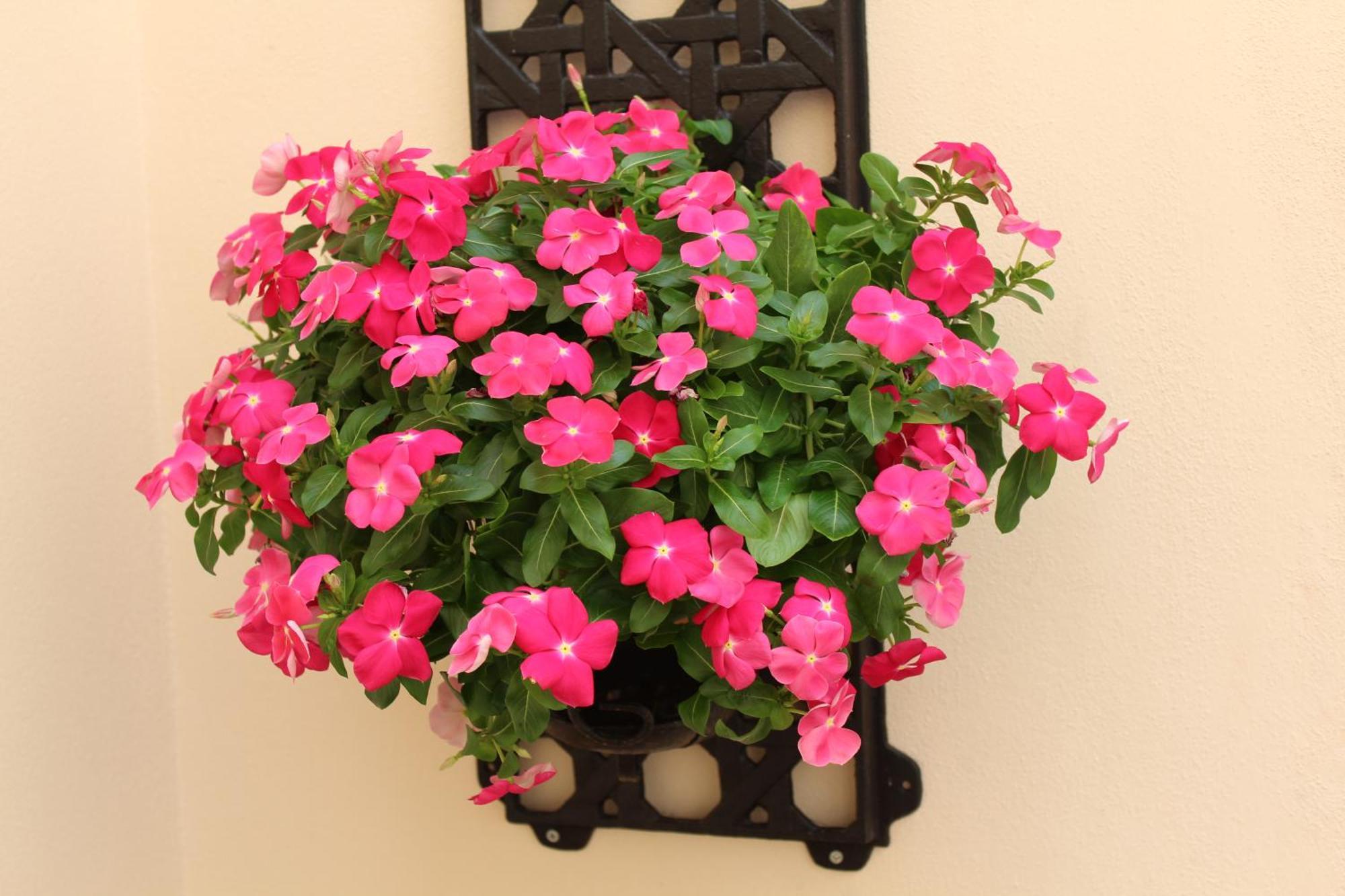 Falstaff Rooms & Suites Palermo Exterior photo
